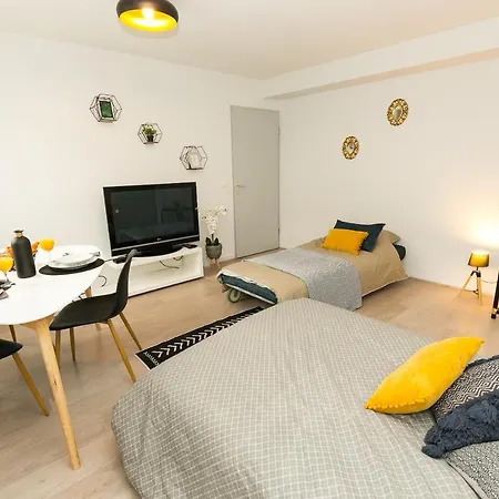 Joli Studio Sur Grenoble غرونوبل